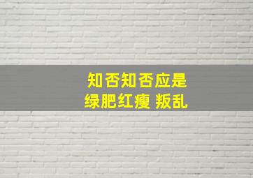 知否知否应是绿肥红瘦 叛乱